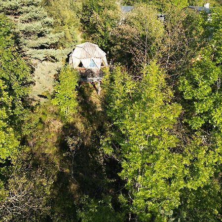 Affittacamere L'Oriel Du Senepy La Motte-dʼAveillans Esterno foto